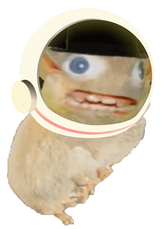 An astronaut spongmonkey