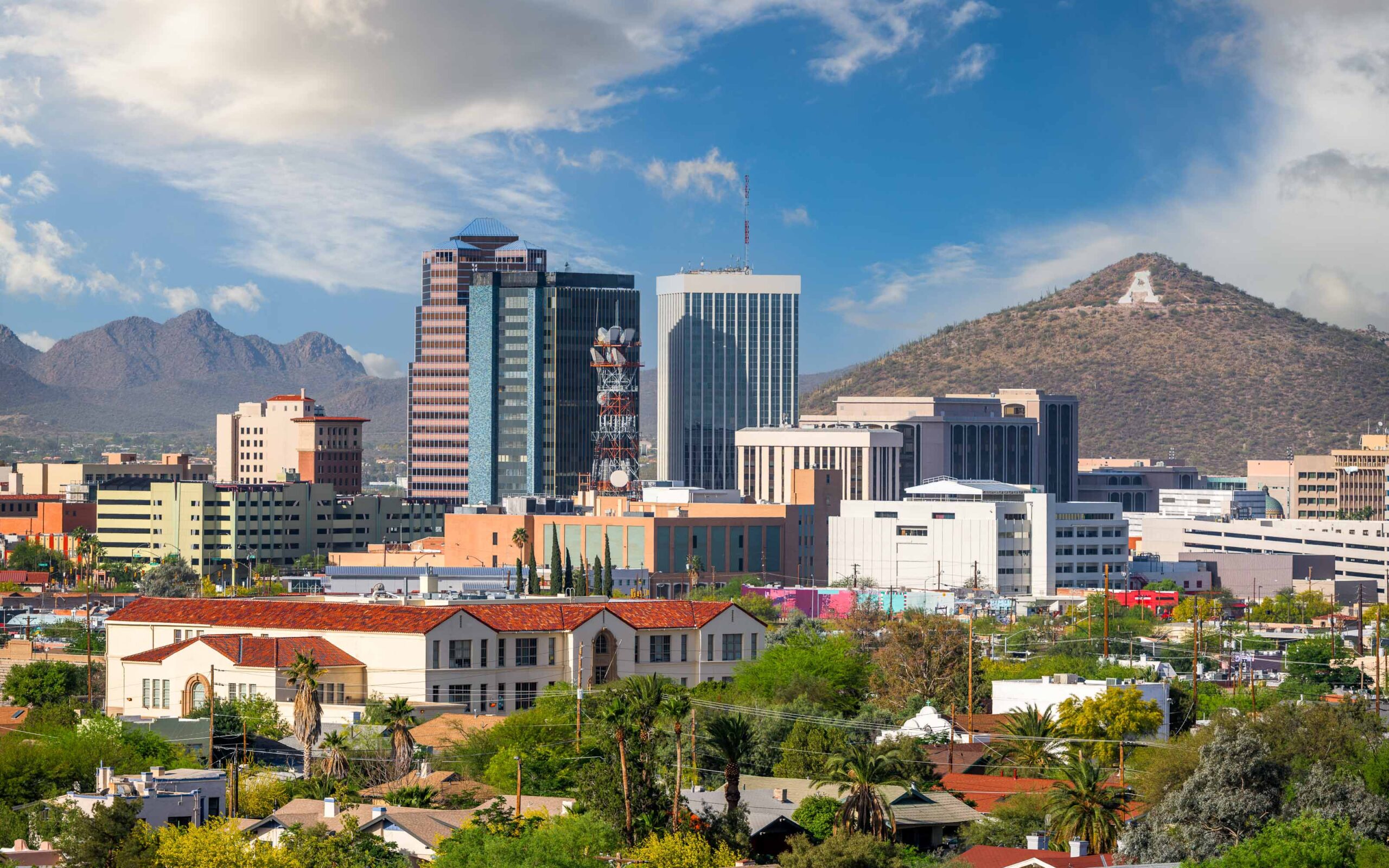Best Lunch Options Near the University of Arizona